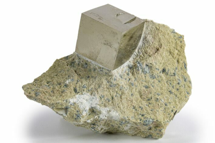 Natural Pyrite Cube In Rock - Navajun, Spain #325022